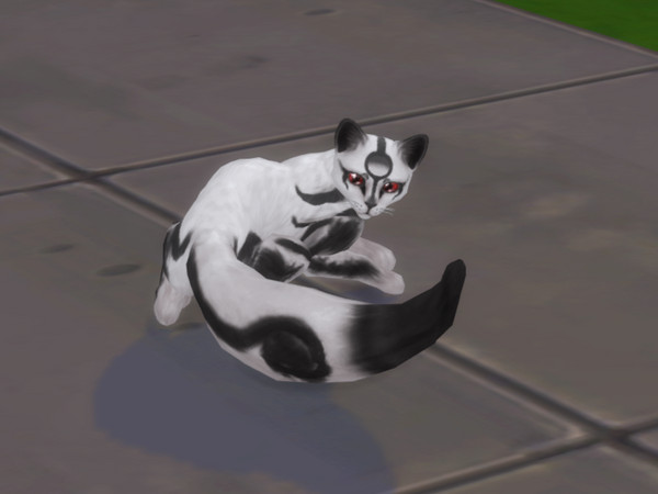 Sims 4 — Paint Brush Tail For Cats by PastelHeartKittens — A pretty tail for your elegant cats!