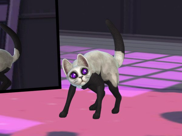 Sims 4 — Spooky Ghost Sheet Cat by PastelHeartKittens — I made the sheet usable for all base game cats! So there's a