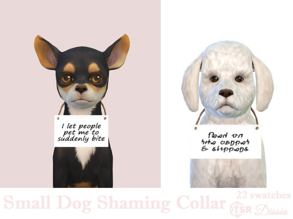 Sims 4 — Small Dogs Shaming Collar by Dissia — Your small dog is doing something that makes you go mad? Shame on it with