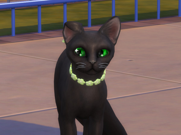 Sims 4 — Cats Ear Fold Ears by PastelHeartKittens — Want a puppy cat? Well now you can!