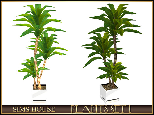 Sims 4 — LARGE DRACAENA by Sims_House — PLANTS SET 1