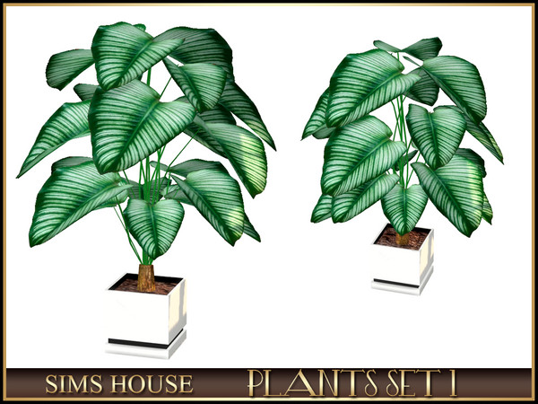 Sims 4 — LARGE CALATHEA by Sims_House — PLANTS SET 1