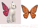 Sims 4 — Mariposa Small Dog Wings by Dissia — Butterfly like fairy wings with soft glitter for small dogs