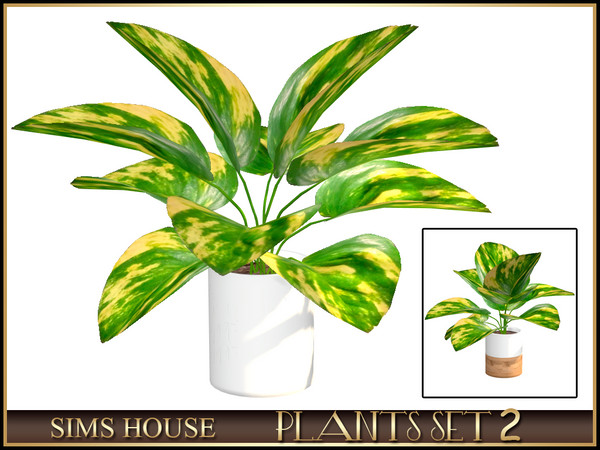 Sims 4 — POTHOS by Sims_House — PLANTS SET 2