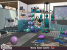 Sims 4 — Messy home Gym by evi — Whoever owns this private gym uses the best out of it.