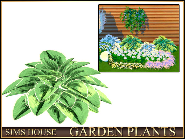 Sims 4 — Sims House Hosta | GARDEN PLANTS by Sims_House — GARDEN PLANTS