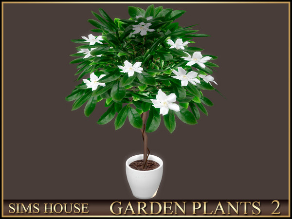Sims 4 — Sims House GARDENIA TREE | GARDEN PLANTS 2 by Sims_House — GARDEN PLANTS 2