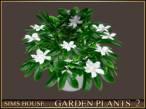 Sims 4 — Sims House GARDENIA | GARDEN PLANTS 2 by Sims_House — GARDEN PLANTS 2