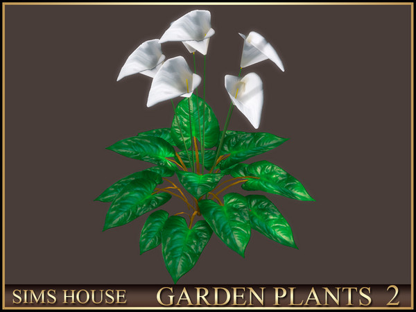 Sims 4 — Sims House CALLA LILIES | GARDEN PLANTS 2 by Sims_House — GARDEN PLANTS 2