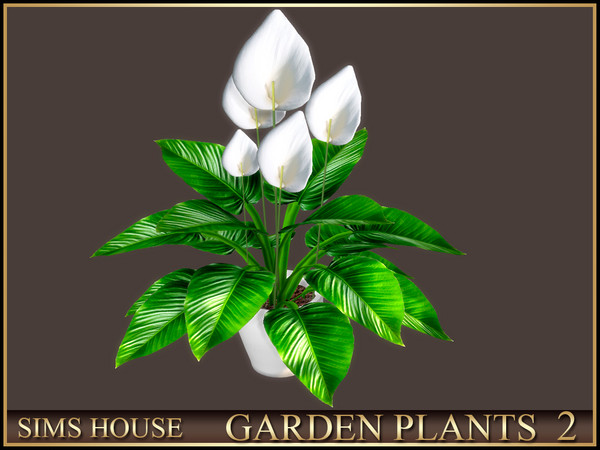 Sims 4 — Sims House PEACE LILY | GARDEN PLANTS 2 by Sims_House — GARDEN PLANTS 2