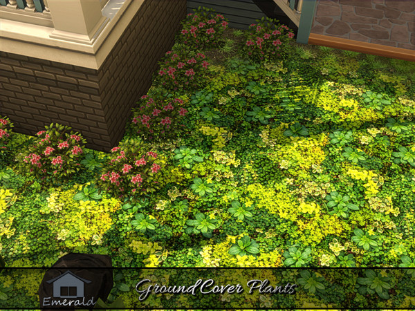 Sims 4 — Ground Cover Plants 6 by Emerald — Ground cover plants are low maintenance,spreading plants that prevent