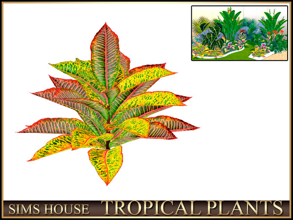 Sims 4 — Sims House CROTON | TROPICAL PLANTS by Sims_House — TROPICAL PLANTS