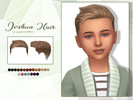 Sims 4 — Joshua Hair - Child version by Lewbertsn00tles — A wispy, textured crop hairstyle for male sims. Maxis Match