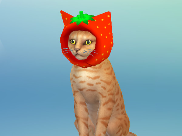Sims 4 — strawberryhatcat by Lala_Sara — Strawberry hats for all pets: cats, dogs and horses.