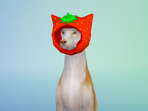 Sims 4 — strawberryhatsmalldog by Lala_Sara — Strawberry hats for all pets: cats, dogs and horses.