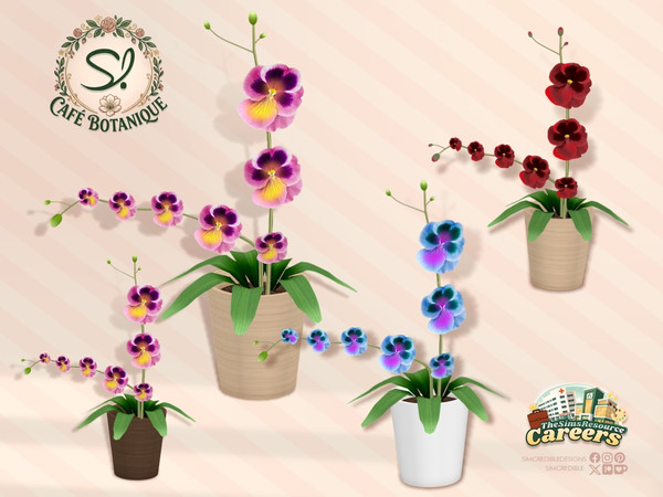 Sims 4 — Cafe Botanique Orchid Flower by SIMcredible! — This is the second part of our Cafe Botanique series. We're happy