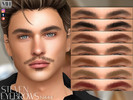 Sims 4 — Steven Eyebrows - Patreon by MagicHand — Bushy brows in 13 colors - HQ Compatible.