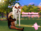 Sims 4 — Close To Home Posepack by ashlegacies — - Posepack