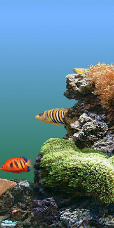 Sims 2 — Coral Mural 1 by Windkeeper — Part of seamless 4-panel coral mural.