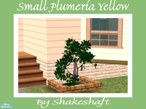 Sims 2 — Small Plumeria - Yellow by Shakeshaft — Part of a set of Plumeria Bushes to brighten up the plainest of gardens.