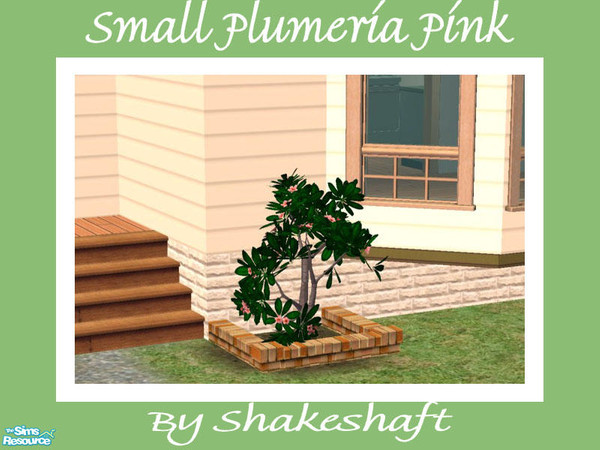 Sims 2 — Small Plumeria - Pink by Shakeshaft — Part of a set of Plumeria Bushes to brighten up the plainest of gardens.