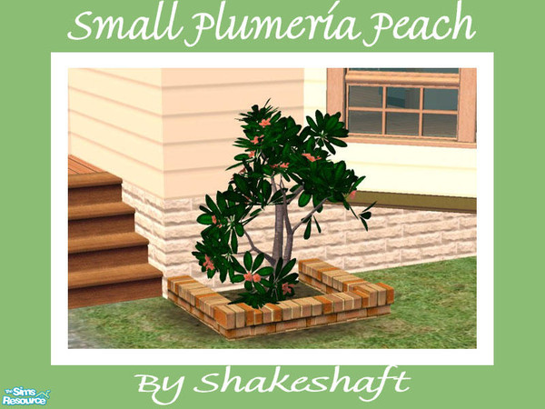 Sims 2 — Small Plumeria - Peach by Shakeshaft — Part of a set of Plumeria Bushes to brighten up the plainest of gardens.