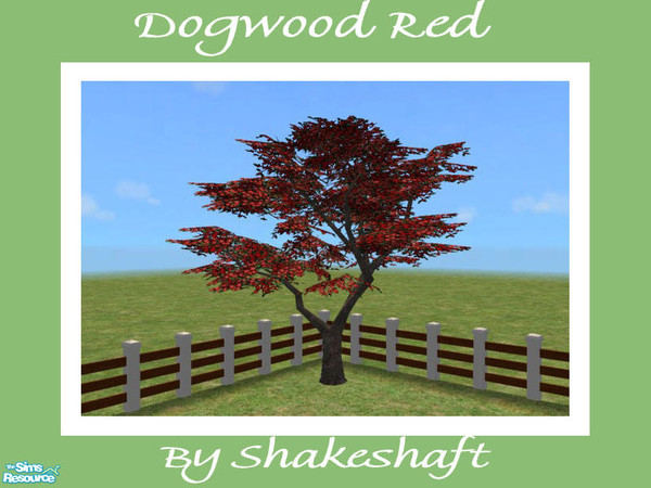 Sims 2 — Dogwood Tree - Red by Shakeshaft — Part of a set of 4 Dogwood Trees to add colour to your gardens.Set includes 1