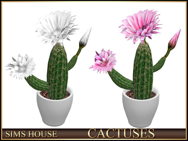 Sims 4 — Sims House FLOWERING CACTUS IN A POT | CACTUSES by Sims_House — CACTUSES