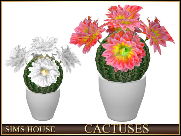 Sims 4 — Sims House ROUND CACTUS IN A POT | CACTUSES by Sims_House — CACTUSES