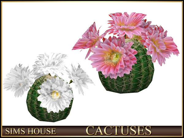 Sims 4 — Sims House FLOWERING ROUND CACTUS | CACTUSES by Sims_House — CACTUSES
