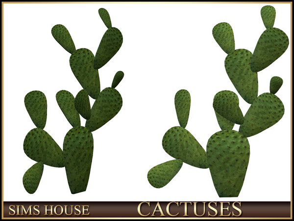 Sims 4 — Sims House FLAT CACTUS | CACTUSES by Sims_House — CACTUSES
