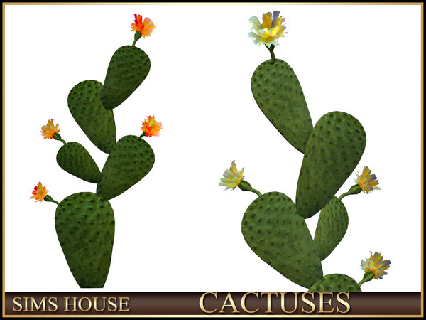 Sims 4 — Sims House FLOWERING FLAT CACTUS | CACTUSES by Sims_House — CACTUSES