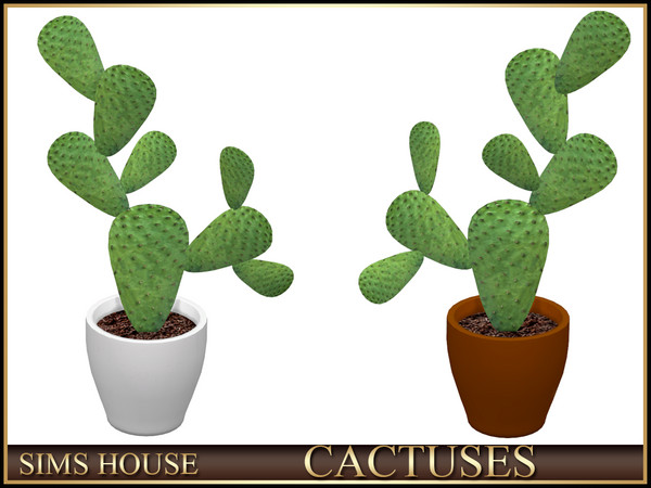Sims 4 — Sims House FLAT CACTUS IN A POT | CACTUSES by Sims_House — CACTUSES