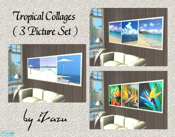 Sims 2 — Tropical Collage Set by iZazu — Tropical Collage Set includes 3 pictures that consist of a collage of 3