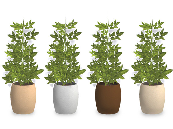 Sims 4 — Jomsims Likoo dining table plant by jomsims — Discover the Likoo collection and modernize your living room with