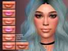 Sims 4 — Namina Lipstick by Suzue — Namina Lipstick N117
