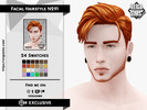 Sims 4 — Facial Hair Style by David_Mtv2 — Facial Hair Style N291