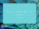 Sims 4 — Turquoise CAS Background by XChloe98 — The Sims 4 CAS Background