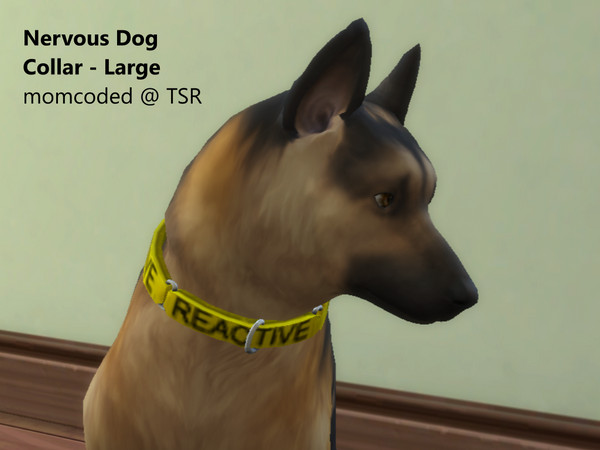 Sims 4 — Nervous Pet Collars by momcoded — Bright, woven pet collar - set with 3 items.