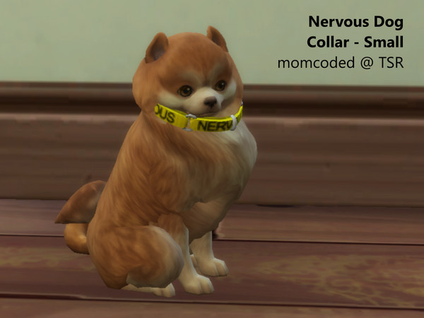 Sims 4 — momcoded nervous dog collar small by momcoded — Bright, woven pet collar