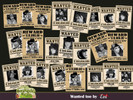 Sims 4 — Wanted too by evi — here are so many wanted people at TSR that I cannot cope with this There are so many artists