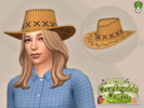 Sims 4 — Countryside Charm - Suede Cowboy Hat by kapakijo — Unisex suede cowboy hat available in 7 swatches.