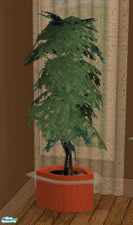 Sims 2 — Italia Collection Add On - Tree Planter by Simaddict99 — this is the mesh file. NOTE this file requires the