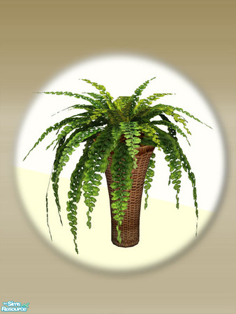 Sims 2 — Mt Lodge Fern Plant - Mesh by Shakeshaft — Part of the second of 3 sets with a Mountain Lodge Theme, this set
