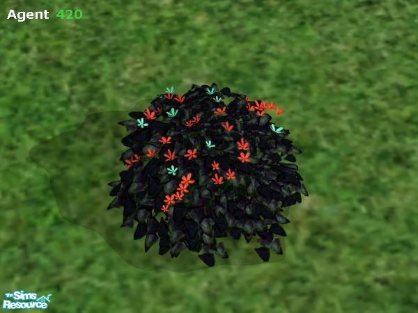 Sims 2 — Evil Dark Bush (Red & Turquoise Flowers) by Agent420 — This version of the Evil Dark Bush has Red and