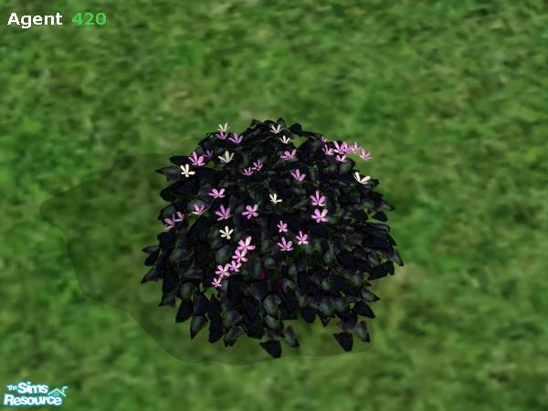 Sims 2 — Evil Dark Bush (Pink & White Flowers) by Agent420 — This version of the Evil Dark Bush has Pink and White