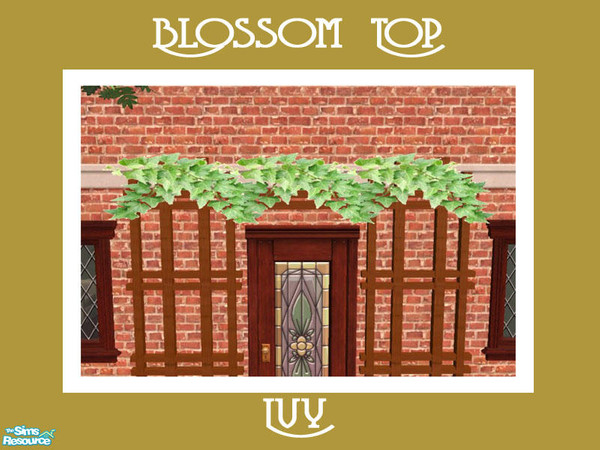 Sims 2 —  Blossom Top Ivy by Shakeshaft — Part of a new mesh set comprising of a Door Trellis and Blossoms to decorate