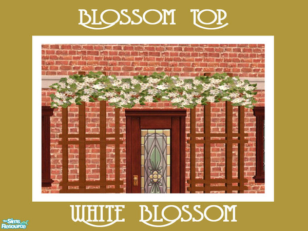 Sims 2 — Blossom Top White by Shakeshaft — Part of a new mesh set comprising of a Door Trellis and Blossoms to decorate
