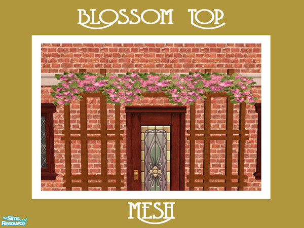 Sims 2 — Blossom Top by Shakeshaft — Part of a new mesh set comprising of a Door Trellis and Blossoms to decorate your