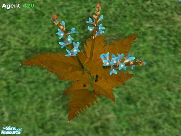 Sims 2 — Crystal Blue Snapdragon by Agent420 — The flowers on this Snapdragon were harvested from Crystals in an